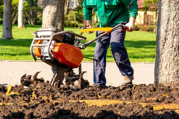 Ein Arbeiter gräbt den Boden in einem Park um einen Baum mit Hilfe von Landschaft — Stockfoto