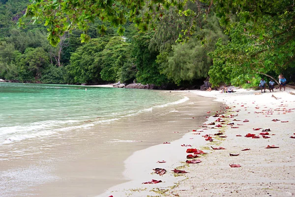 Maya Island, Seychelles, Indian Ocean, View of one of the beache