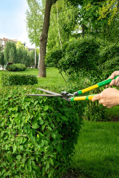 Landschaftsbau im Park. eine Gärtnerin im grünen Arbeitskleid — Stockfoto