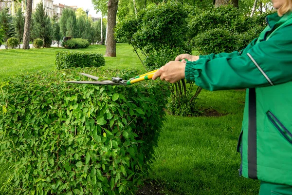 Ландшафт у парку. Садівник жінка в зеленому робочому су — стокове фото