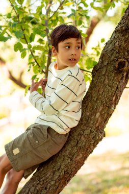 Çocuk bahçede bir ağaç üzerinde oturur ve bir kenara loks