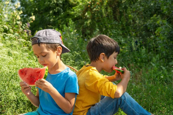 Zwei Jungen sitzen auf dem Gras bei einem Picknick und essen Wassermelone. — Stockfoto