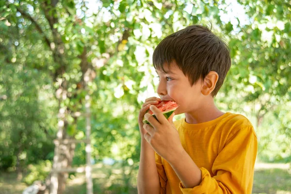 Kleiner Junge im gelben Hemd isst eine Wassermelone bei einem Picknick in — Stockfoto