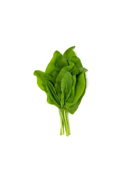 Leaves of fresh natural sorrel  isolated on white — Stock Photo, Image