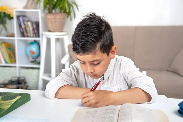 Taille up portret van een Serius school jongen. De school jongen zit op t — Stockfoto