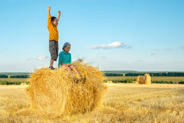 Der Junge steht auf einem Heuhaufen und hebt freudig die Hände zu — Stockfoto