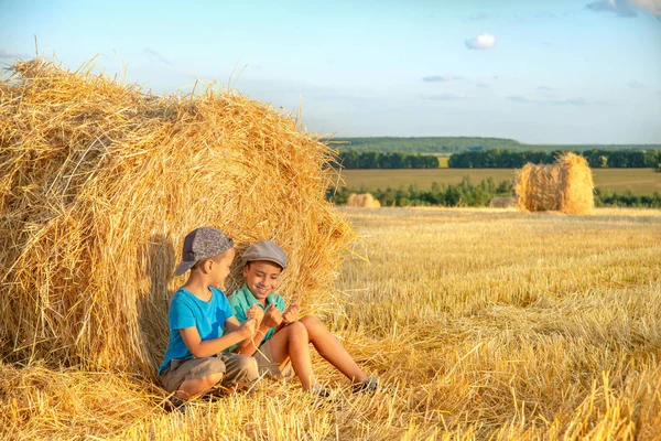 Concetto di raccolto agricolo. Due ragazzi si divertono a sedersi a un fieno — Foto Stock