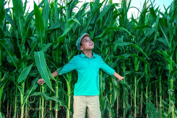 Junge läuft mit Hühneraugen über Feld — Stockfoto