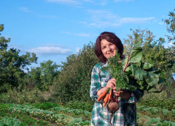 Portrait of a smiling elderly woman with a crop of carrots and l