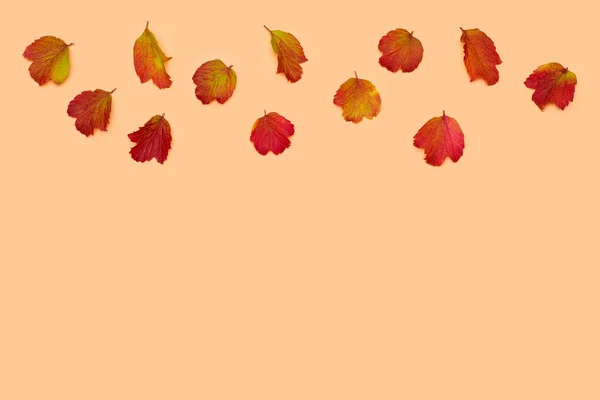 Background with autumn red and yellow leaves  on a  beige backgr — Stock Photo, Image