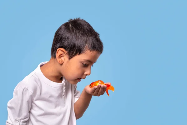 Studioaufnahme eines Jungen mit einem Goldfisch in der Hand auf einem blauen Ba — Stockfoto