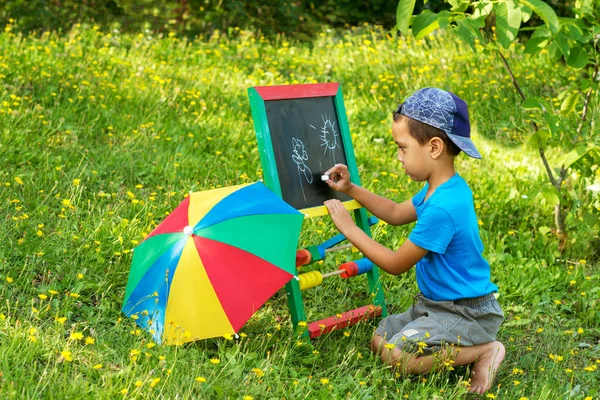 Хлопчик-дошкільник сидить на газоні з квітами і малює з — стокове фото