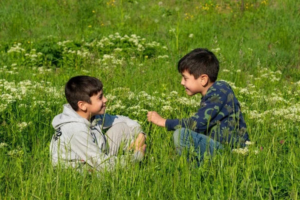 Prise Vue Deux Jeunes Garçons Assis Dans Prairie Verte Avec — Photo