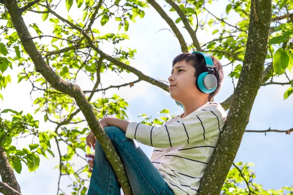 Kulaklıklı Bir Çocuğun Bir Ağacın Dalında Oturup Rüyasında Uzaklığa Baktığı — Stok fotoğraf
