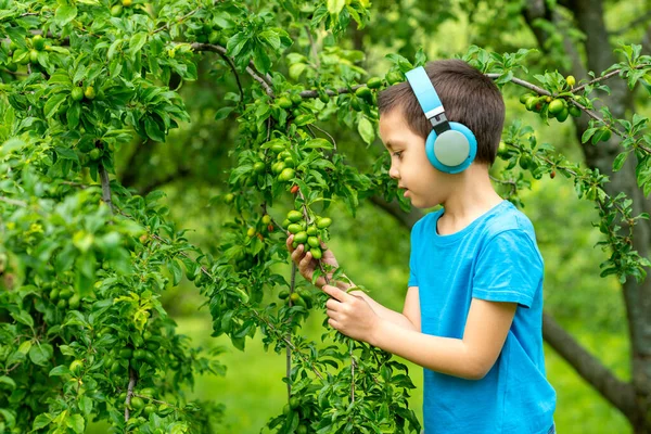 Aufnahme Des Kleinen Jungen Mit Kopfhörern Der Einem Sonnigen Sommertag — Stockfoto
