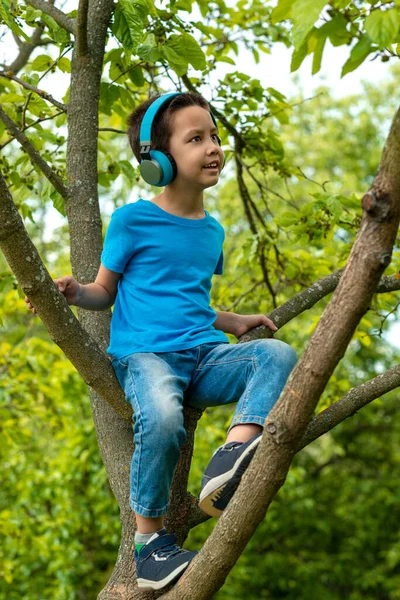 Kulaklıklı Bir Ağacın Dalında Oturan Rüyasında Yan Tarafa Bakan Küçük — Stok fotoğraf