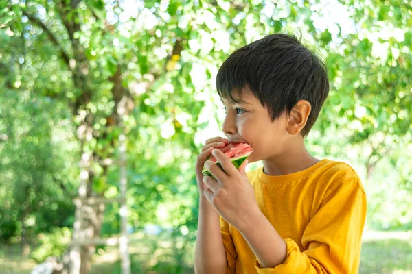 Junge Gelbem Hemd Isst Wassermelone Bei Picknick Park — Stockfoto