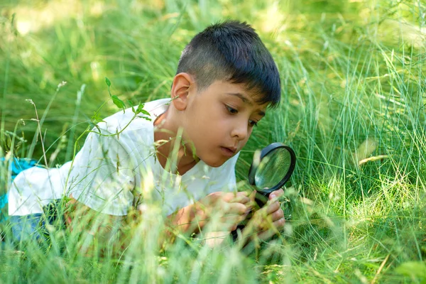Знімок Хлопчика Який Досліджує Світ Рослин Через Збільшувач Лежить Зеленій — стокове фото