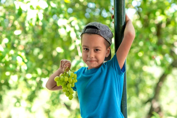 Porträt Eines Lächelnden Kleinen Jungen Mit Blauem Hemd Und Mütze — Stockfoto