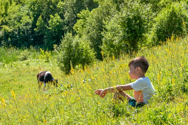 Ein Kleiner Junge Sitzt Auf Einer Wiese Mit Wildblumen Und — Stockfoto