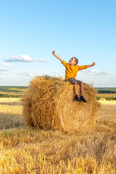 Erntekonzept Landwirtschaft Der Junge Sitzt Auf Einem Heuhaufen Und Hebt — Stockfoto