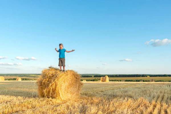 农业收获概念 在一个阳光灿烂的日子里 小男孩站在田里的草堆上 收割完后拿着草包 — 图库照片
