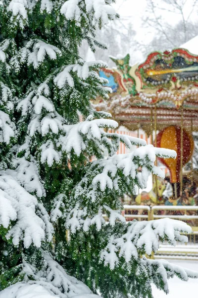 Close-up of spruce branches under the snow against the backdrop of a colorful french carousel in the park during a snowfall.  Natural snowy winter background. Christmas card, congratulations.
