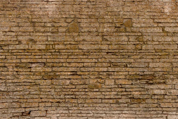 Shot of old fortress wall for grunge background