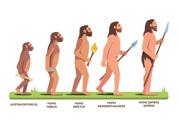 Stadien der menschlichen Evolution und Stadien des menschlichen Fortschritts — Stockvektor