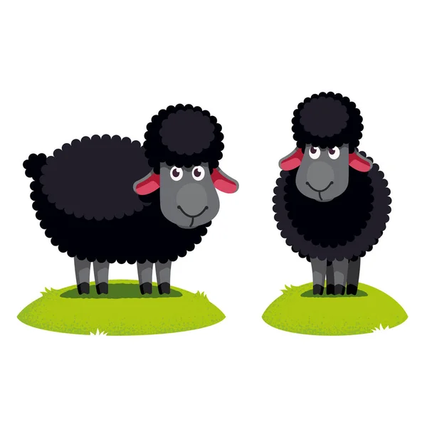Δύο μαύρα πρόβατα στέκονται σε πράσινο γκαζόν — Διανυσματικό Αρχείο