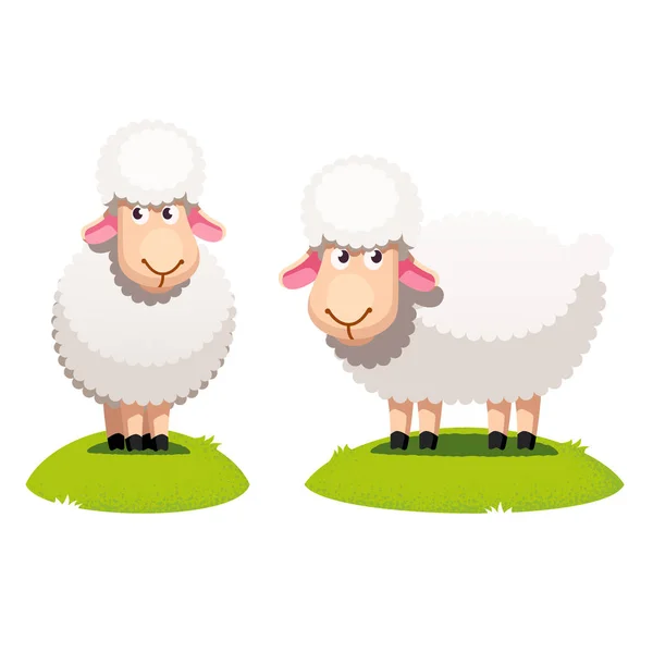 Dos ovejas blancas de pie sobre césped verde — Archivo Imágenes Vectoriales