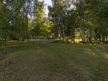 Parlak güneş ışığı altında huş ağaçları ile çayır. Küçük köprü