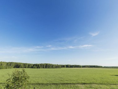 Yeşil çayır ve üzerinde çim sahası, kırsal manzara mavi gökyüzü