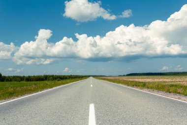 Güneşli bir yaz gününde yeşil tarlalarda boş bir köy yolu. Arka planda orman var. Mavi gökyüzü ve beyaz fırtına bulutları. - Rusya. Çerçevenin ortasındaki Ufuk
