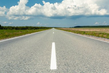 Güneşli bir yaz gününde yeşil tarlalarda boş bir köy yolu. Arka planda orman var. Mavi gökyüzü ve beyaz fırtına bulutları. - Rusya. Çerçevenin üstündeki ufuk.