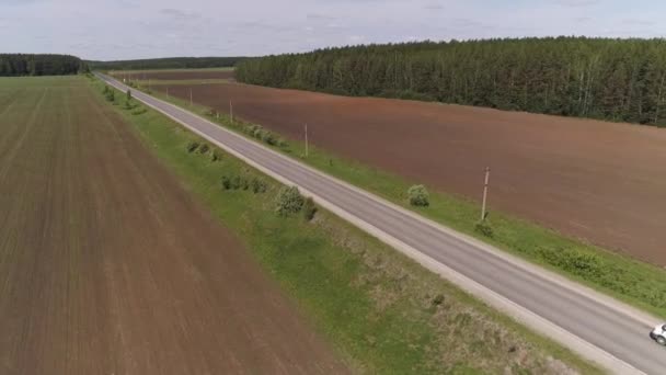 ストレートアスファルトの道路上の小さな白い商用車の運転の空中ビュー 道路の森とフィールドの両側に 夏の晴れた日 — ストック動画