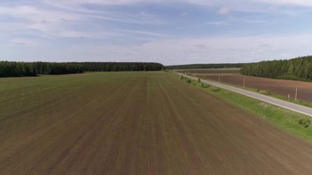 Luchtfoto Van Landbouwgebied Buurt Van Weg Weg Rijdende Auto Vlakbij — Stockvideo
