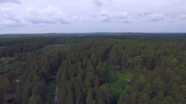 Ormanın havadan görünüşü. Ormanda evler, yollar ve diğer binalar görebilirsiniz. Yaz bulutlu günü