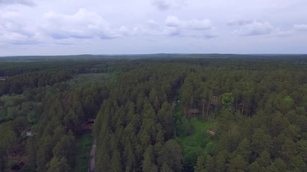 Αεροφωτογραφία Του Δάσους Στο Δάσος Μπορείτε Δείτε Σπίτια Μονοπάτια Και — Αρχείο Βίντεο