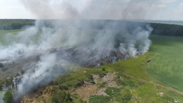 Vue aérienne du feu sur le terrain. Brûler l'herbe et les ordures. A côté d'un tracteur avec un baril d'eau, un homme éteint un feu. Près de la forêt. Journée ensoleillée d'été