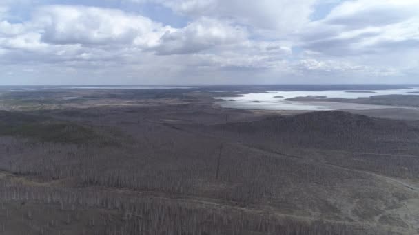 Karabaş Şehrinin Yakınlarındaki Kasvetli Orman Göl Chelyabinsk Bölgesi Rusya Hava — Stok video