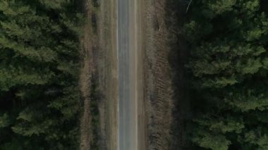 Ormandaki asfalt yolun yukarıdan görünüşü. Arabalar yol boyunca gider. Sağ tarafta elektrik kabloları olan direkler var. Yaz, güneşli gün