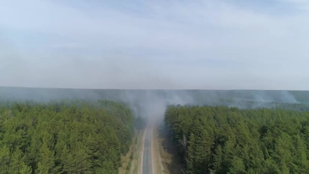 Vista Aérea Camino Forestal Humo Incendio Forestal Verano Caluroso Día — Vídeos de Stock