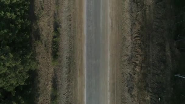 森の中のアスファルトの道路の空中ビューをトップダウン 右側には電線の付いた極があります 夏の晴れた日 — ストック動画