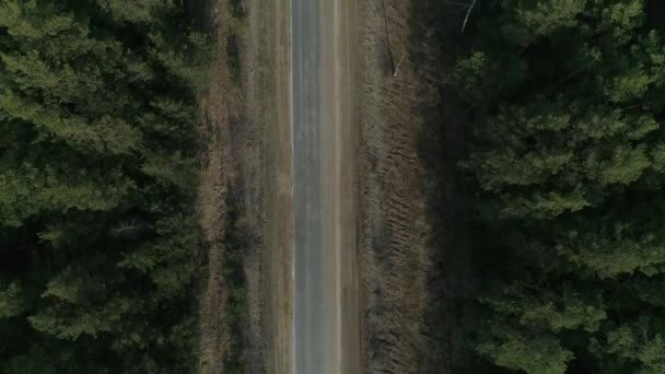 森の中のアスファルトの道路の空中ビューをトップダウン 車は道路に沿って運転する 右側には電線の付いた極があります 夏の晴れた日 — ストック動画