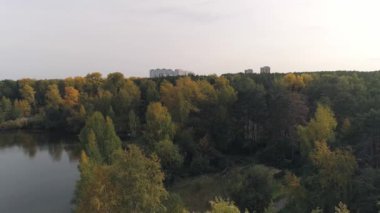 Kıyısında ağaçlar olan güzel göl manzarası. Sonbahar. Ağaçların yaprakları yeşil ve sarıdır. Şehir uzaklıktan görülebilir. Güneşli bir gün.