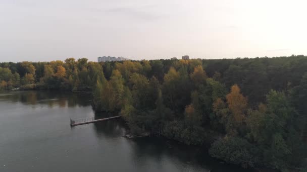 Vedere Aeriană Unui Lac Frumos Unui Dig Copaci Mal Toamna — Videoclip de stoc