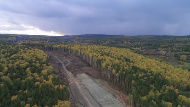 Aanleg Van Een Nieuwe Weg Het Bosgebied Luchtfoto Bouw Weg — Stockvideo