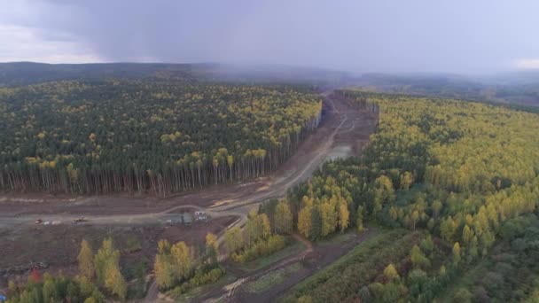 Bau Einer Neuen Straße Waldgebiet Baustraße Aus Der Luft Baumaschinen — Stockvideo