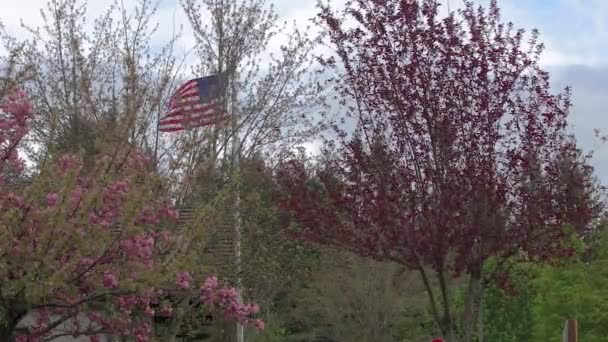 Bandera de EE.UU. y árboles con flores — Vídeos de Stock